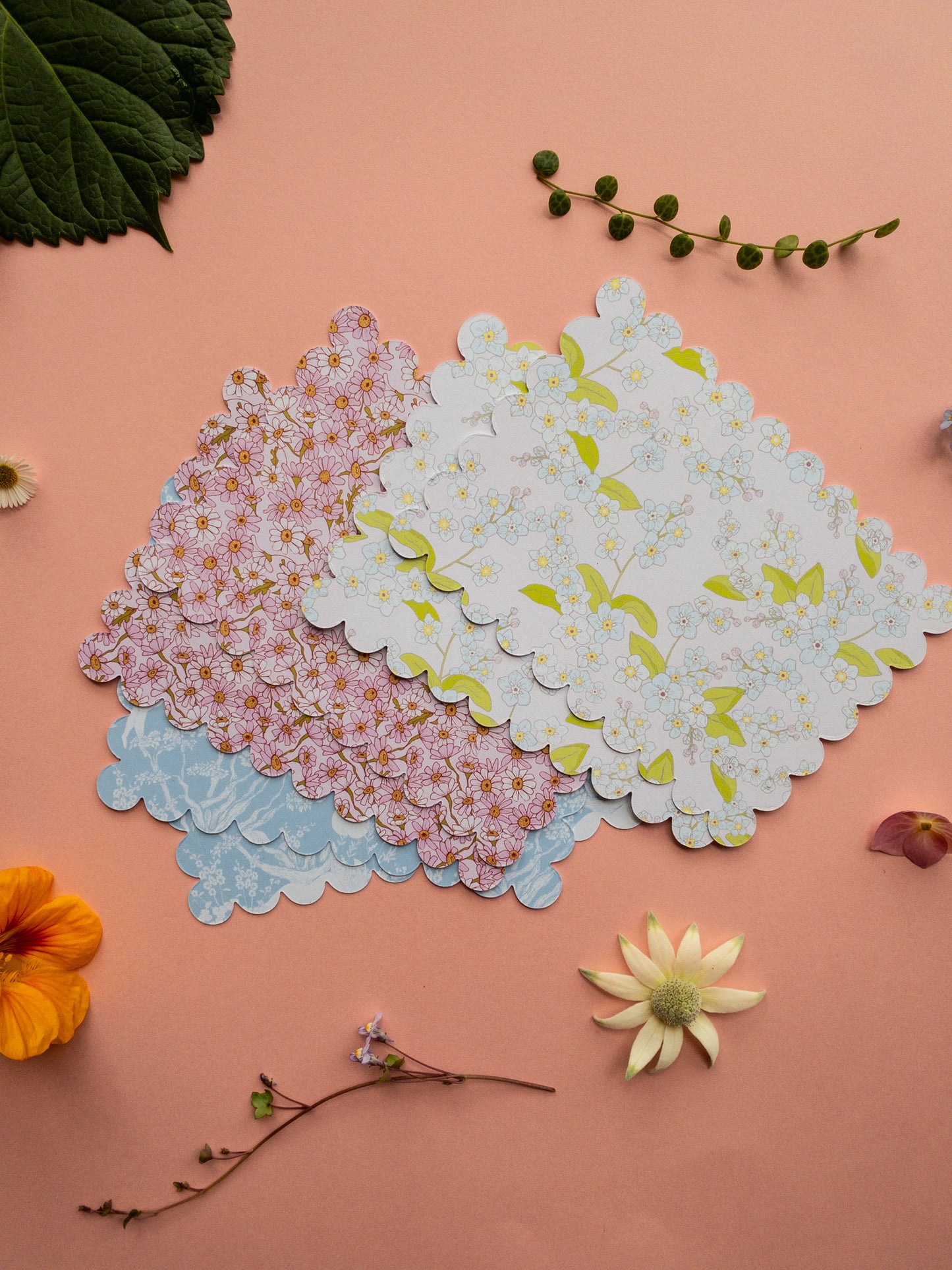 Notecard Sets