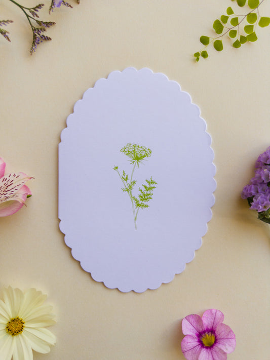 Queen Anne's Lace Blank Scalloped Card