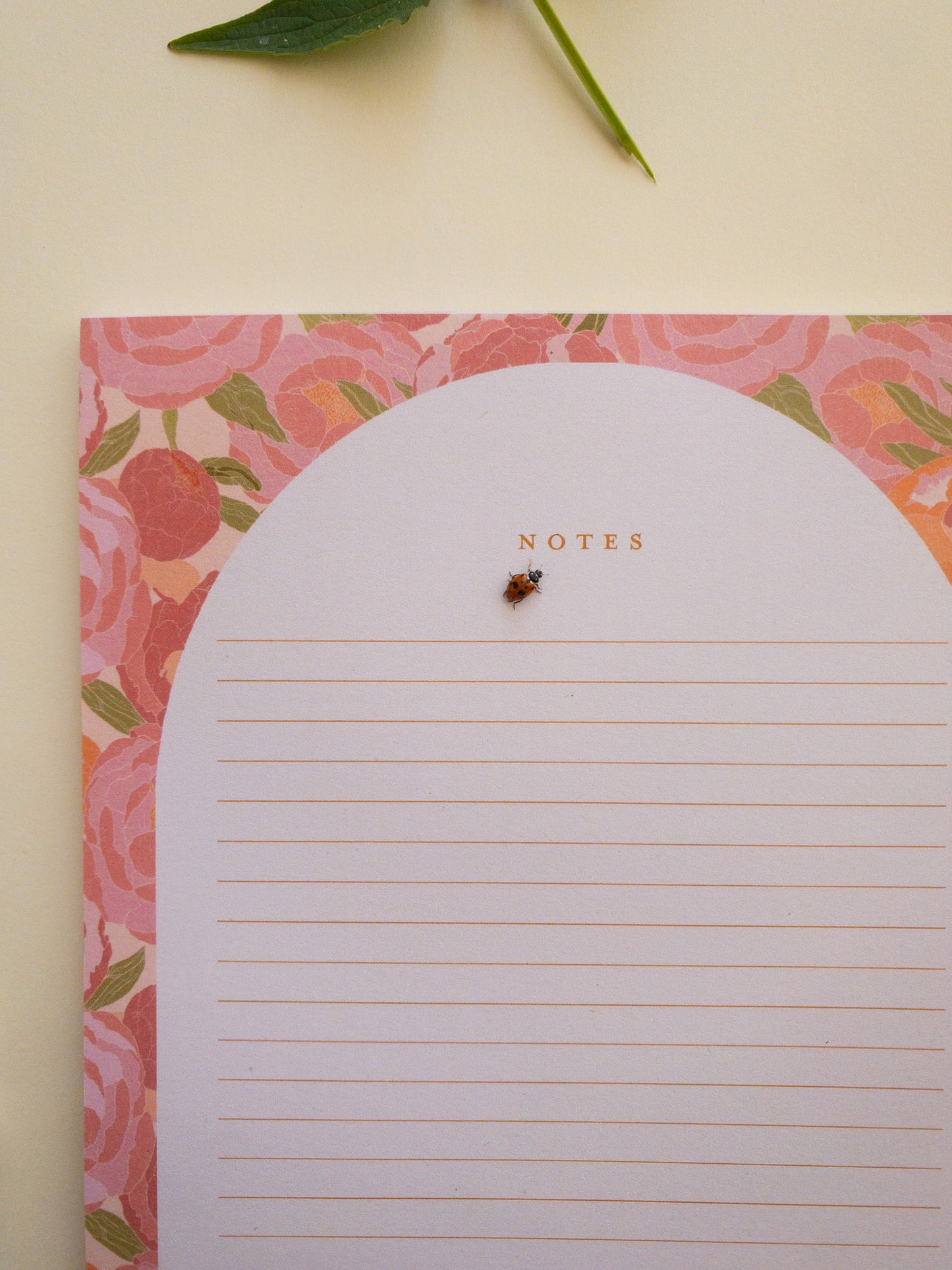 A5 Notepads